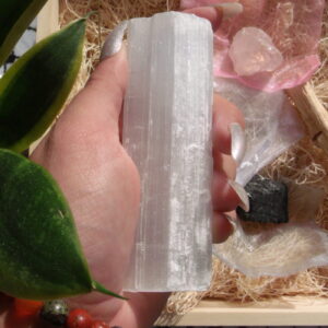 Selenite Consultation